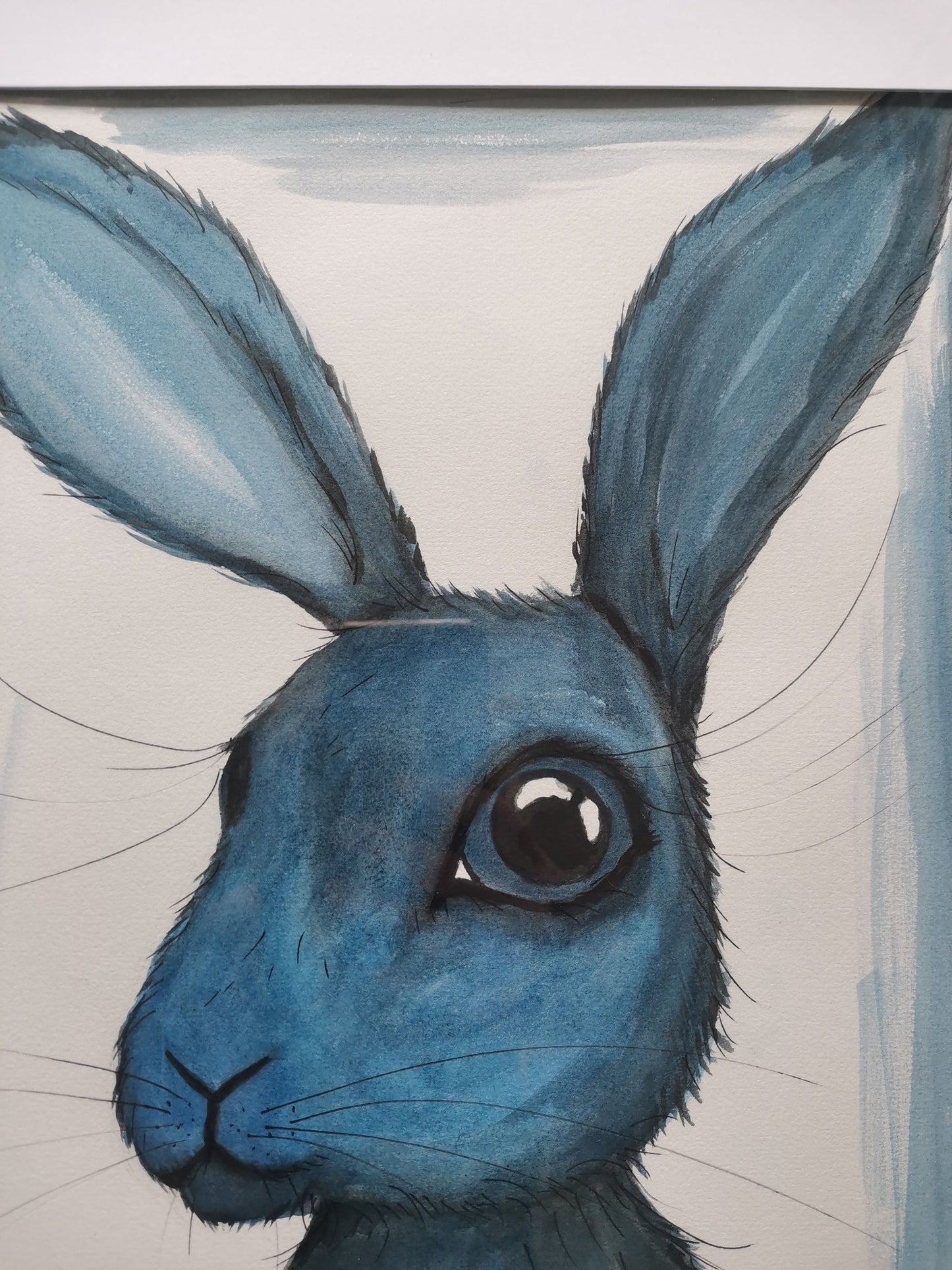 Little Boy Blue Bunny (NZ)