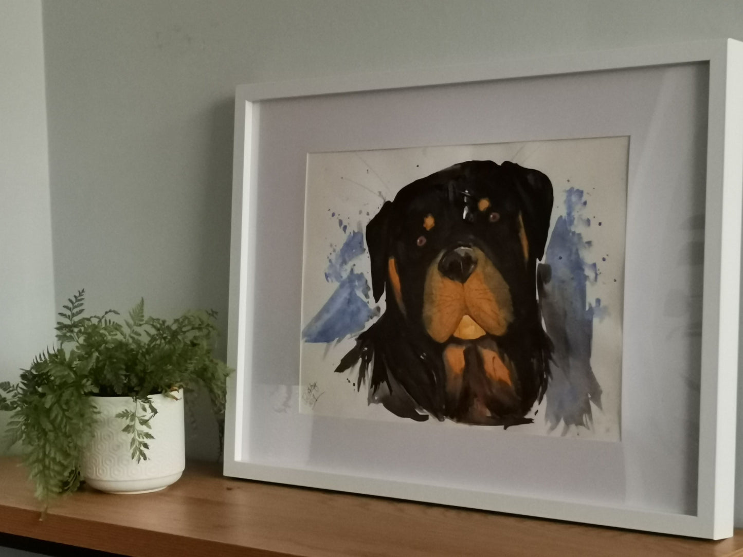 Rottweiler (NZ)