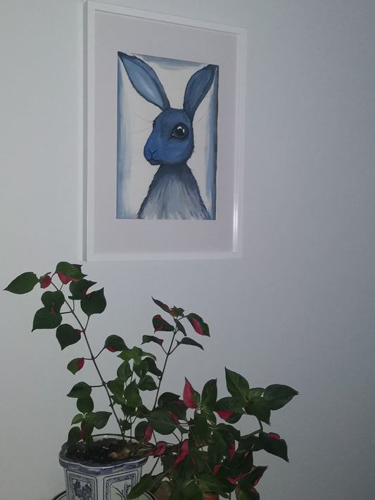 Little Boy Blue Bunny (NZ)