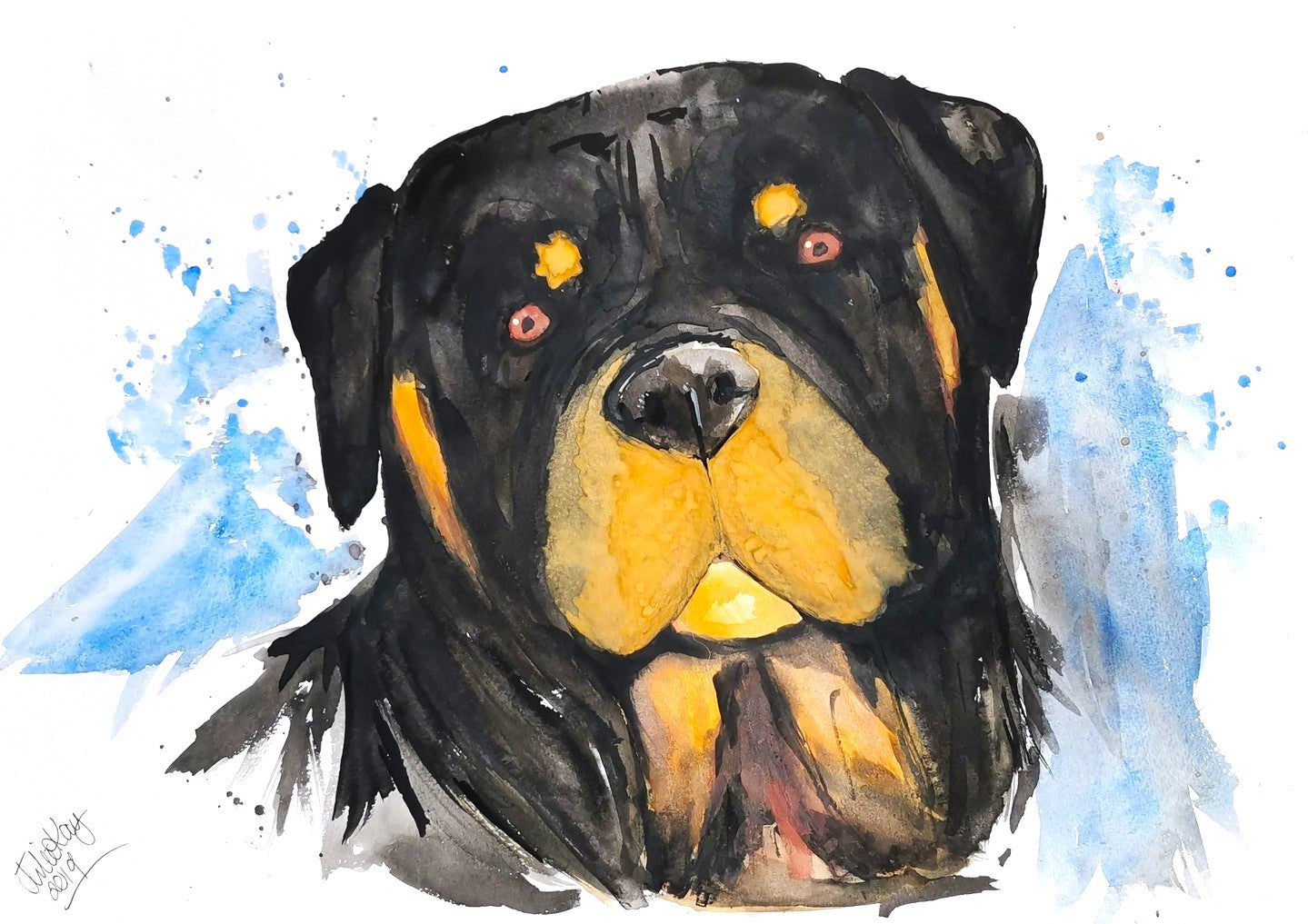 Rottweiler (NZ)